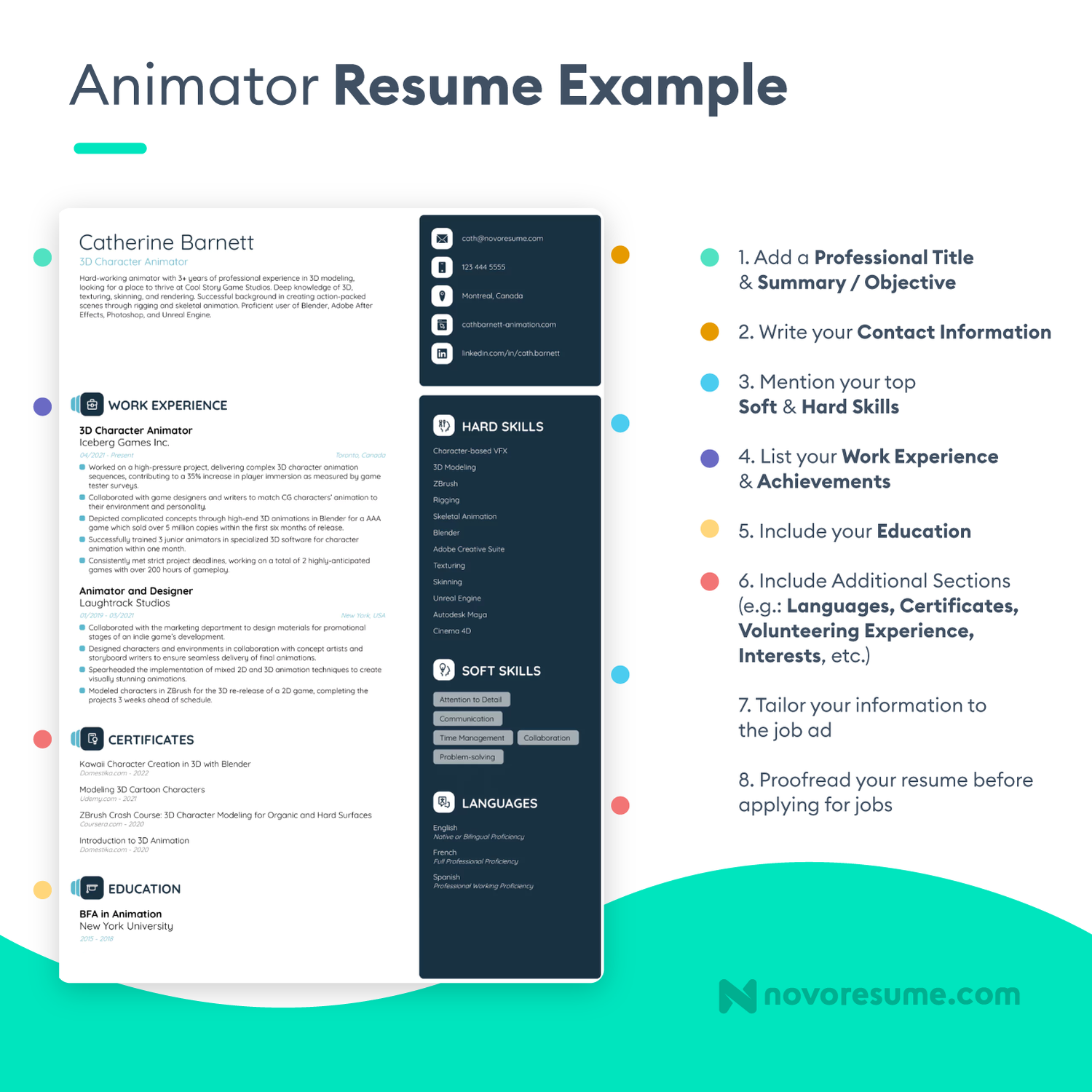 animator resume example