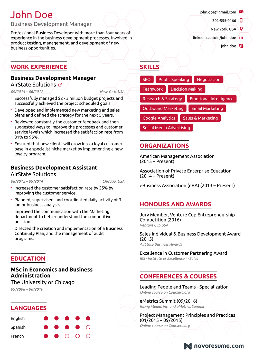 Business Chronological Resume