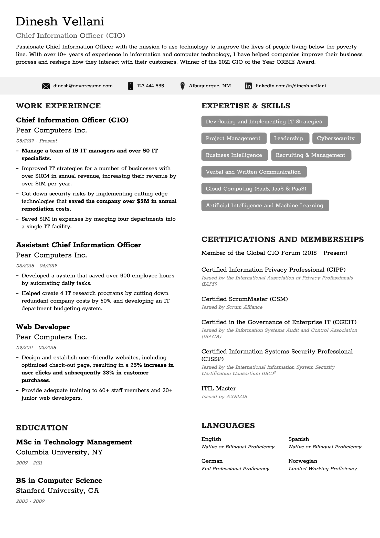 Executive Resume Template