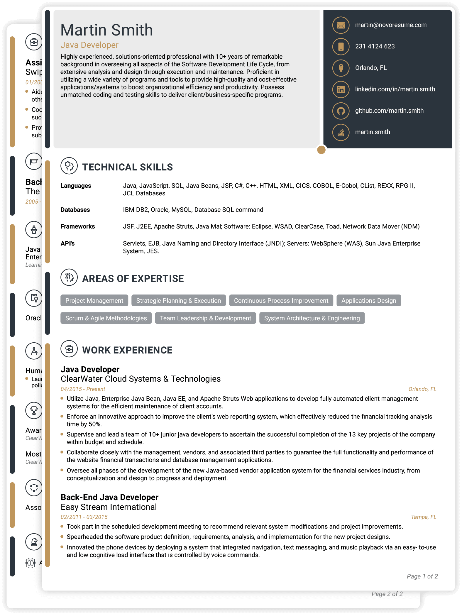 Plantilla de CV técnico