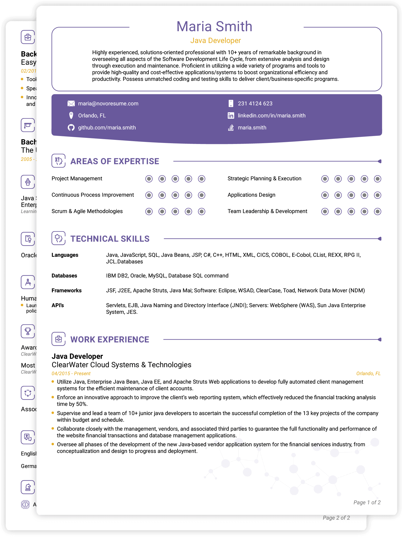 Traditional CV Template